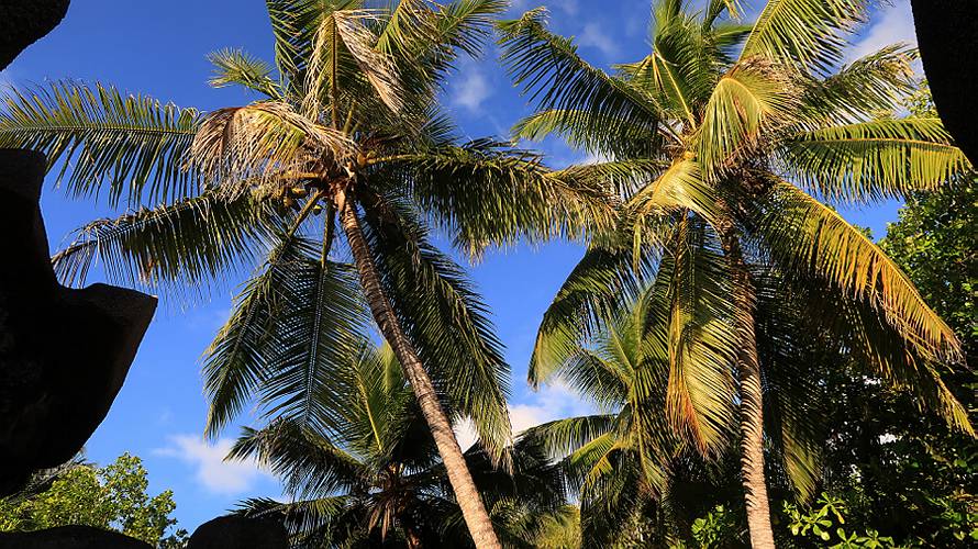 14-la digue_30